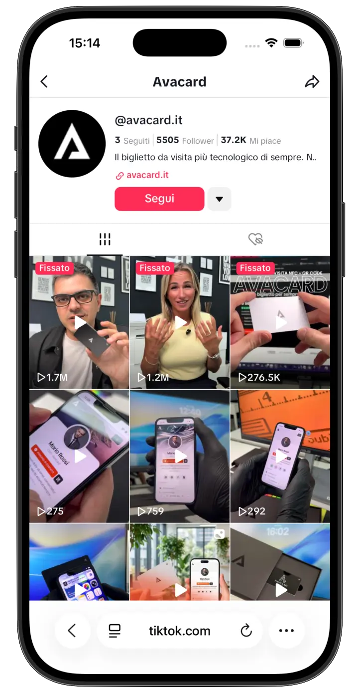 gestione TikTok Avacard